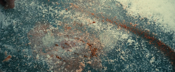 De rouille et d'os [Rust and Bone][锈与骨] (2012)