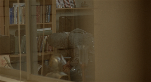 Jodaeiye Nader az Simin [A Separation][一次别离] (2011)