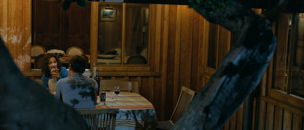 Les Petits Mouchoirs [Little White Lies][小小的白色谎言] (2010)