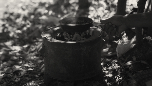 Faya Dayi [卡塔叶时光] (2021)