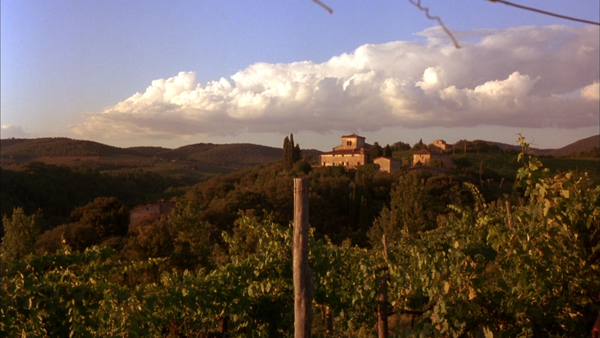 Stealing Beauty (1996)