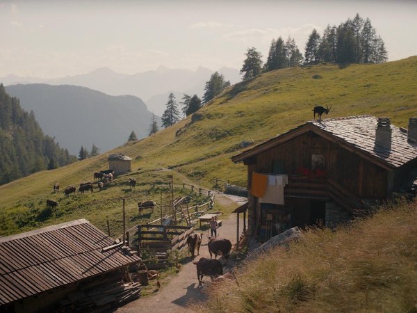 Le otto montagne [The Eight Mountains][八座山] (2022)