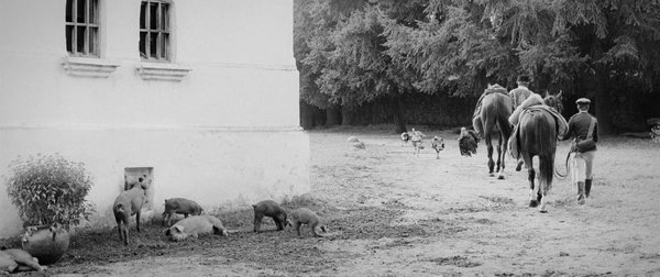 Aferim! [喝彩！] (2015)