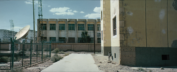 狗阵 [Black Dog] (2024)