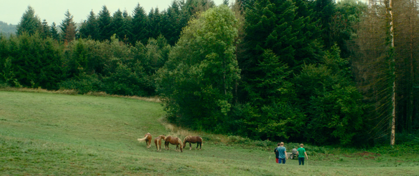 Vingt Dieux [Holy Cow] (2024)